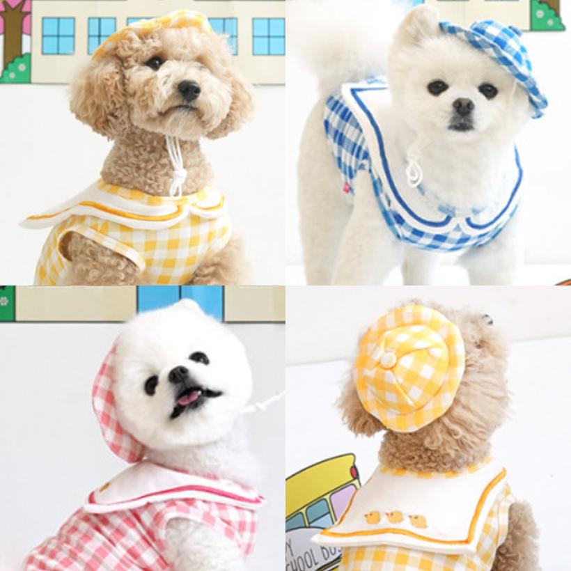 犬服 幼稚園服 Paris Dog 登園 Tシャツ 帽子セット S