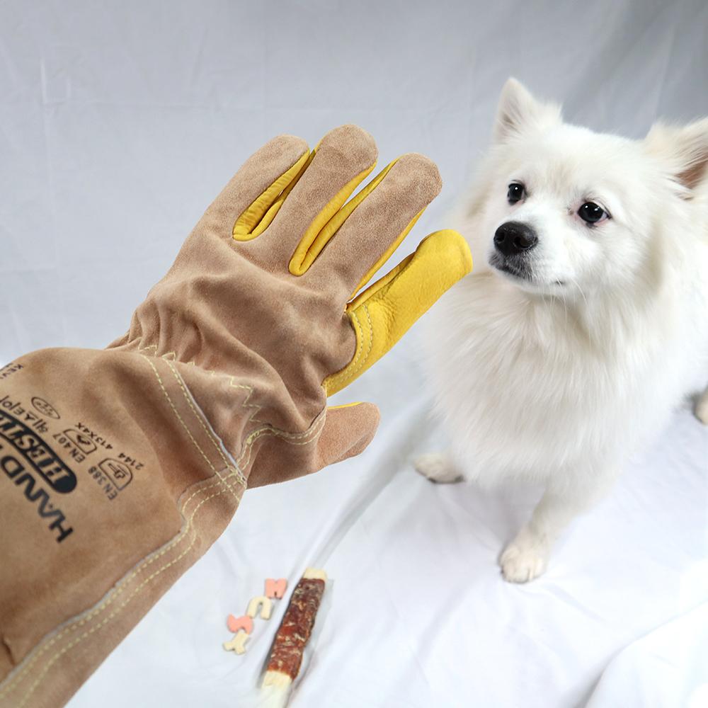 犬用 特殊トレーニング 噛みつき防止 手保護 調教用 浴室 トリミング 爪 猫 犬 CLハンドリンググローブ