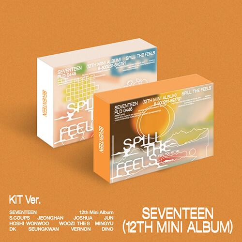 2種セット SEVENTEEN 12集 ミニ SPILL THE FEELS キット