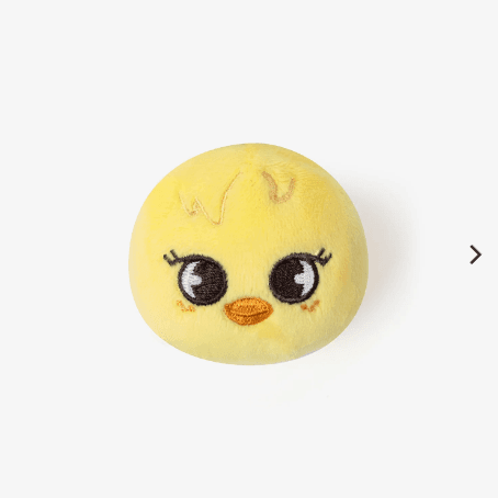 SKZOO スキズ ぬいぐるみ トイマグネット [Xmas ポップアップストア2023]