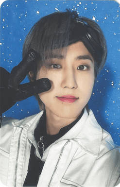 SKZOO スキズ Stray Kids PILOT 特典 フォトカード ハン