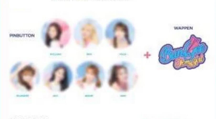 OH MY GIRL SEUNGHEE PIN BUTTON WAPPEN SET SUMMER PACKAGE FALL IN LOVE OFFICIAL PIN BUTTON WAPPEN SET SEUNGHEE