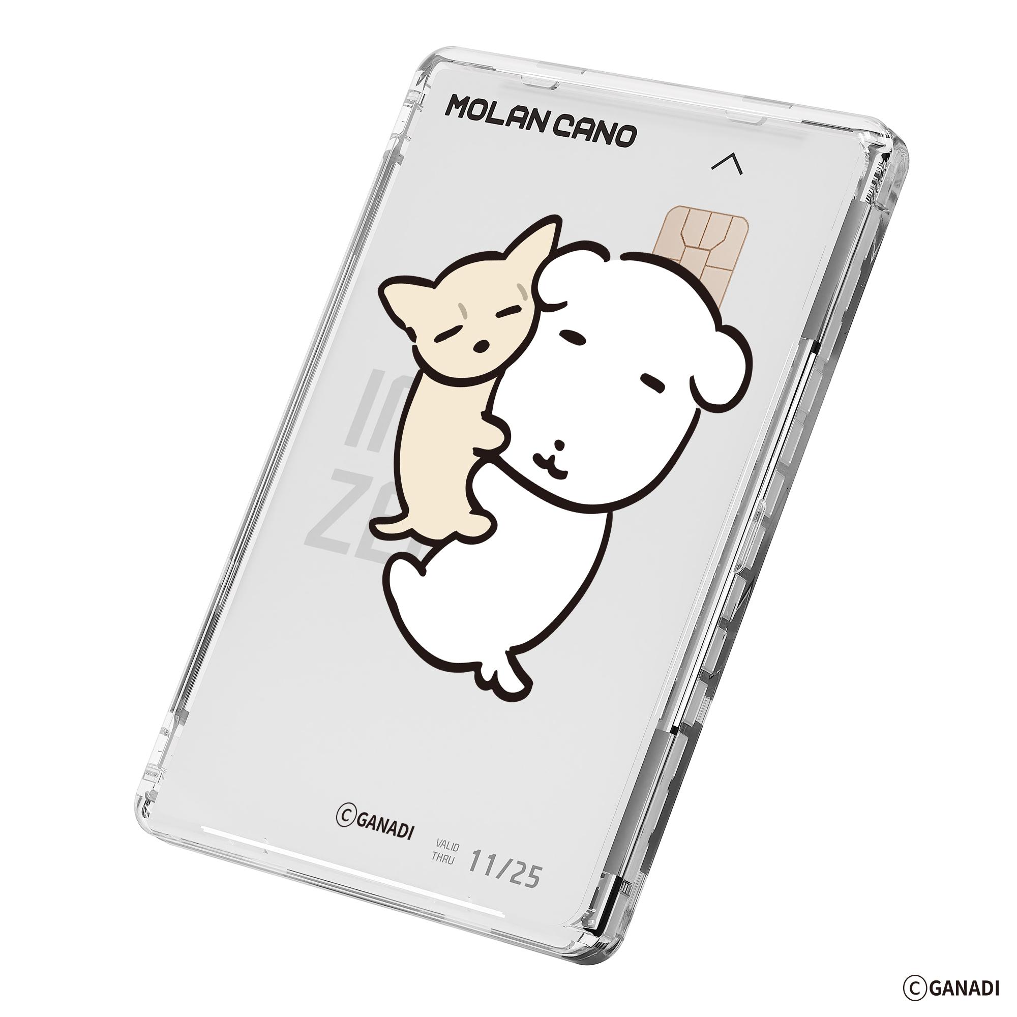 듀 가나디 透明 MagSafe カードウォレット