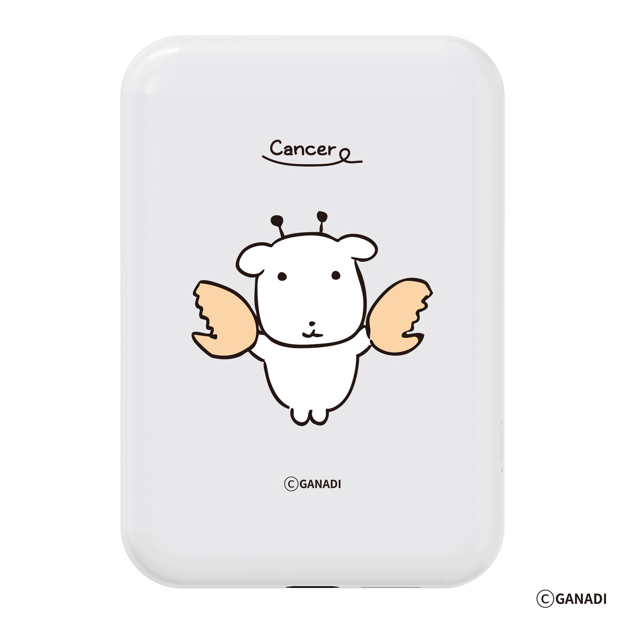 ganadi 星座 デザイン 高速 MagSafe ワイヤレス充電 モバイルバッテリー 5000mAh