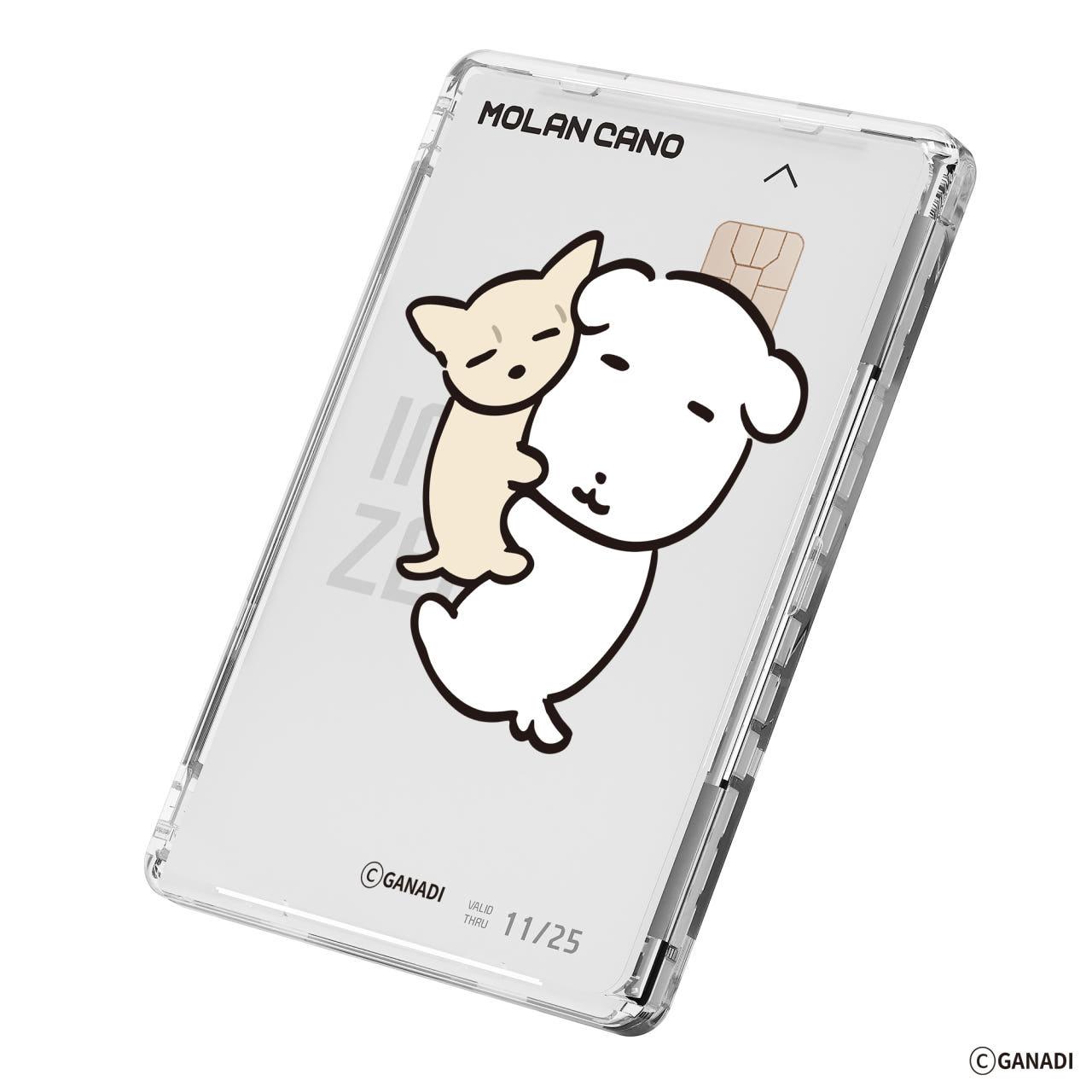 グラニディデザイン MagSafe 2倍磁力 透明カードポケットウォレット ワワ