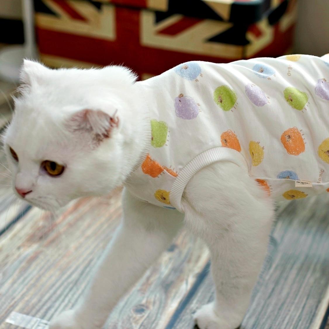 아리캣 고양이 옷 민소매 티셔츠 털관리 실내복 기장 선택 오가닉 무지개 양