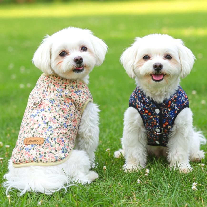 犬用キムチ作りベスト S 猫用 パジャマ ベスト おばあちゃん