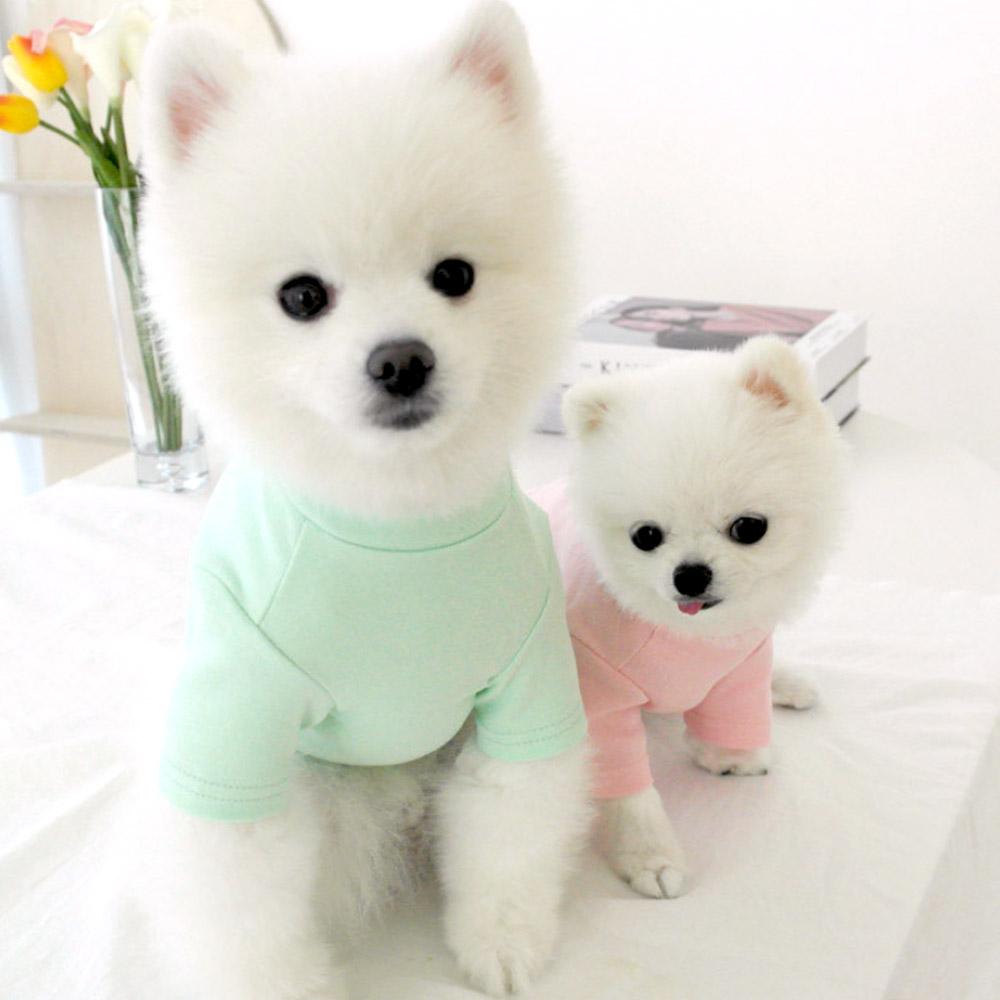 GaeKkulIyang 犬服 デイリー Tシャツ XS