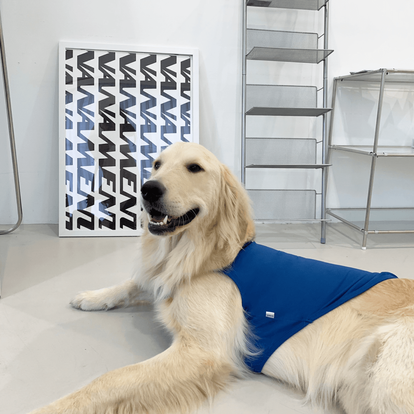 Barkdog 犬用 クールベスト 機能性 紫外線カット 中型犬 大型犬服 夏 M