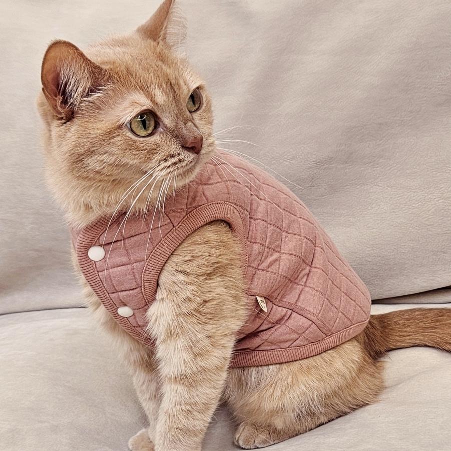 アリアット 猫服 春 キルティングベスト 部屋着 外出着 レトロ キルティングジャケット