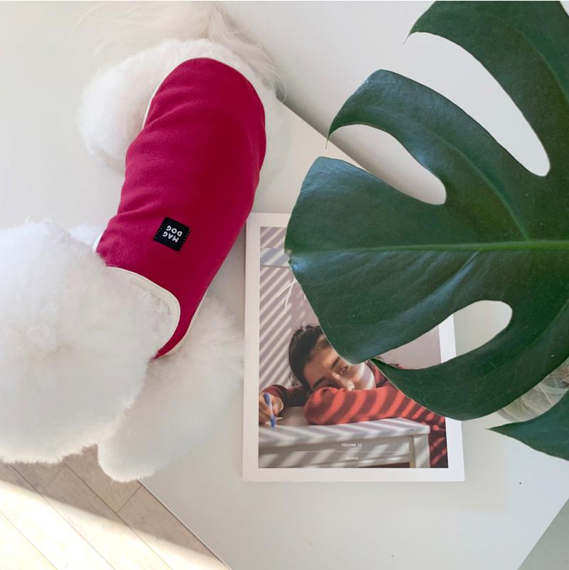 マグドッグ ひんやり 夏 Tシャツ 犬服