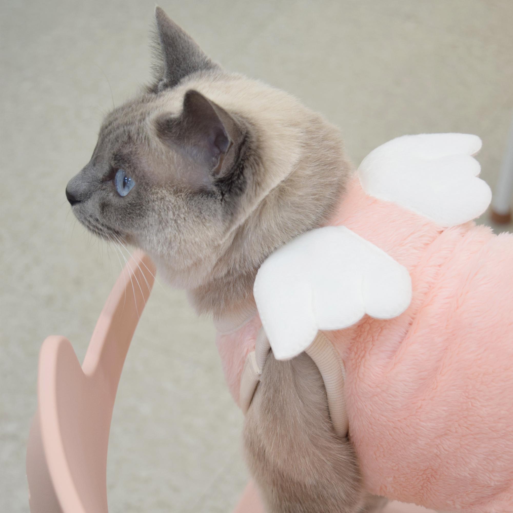 ピンク フリース 天使の羽 猫 Tシャツ