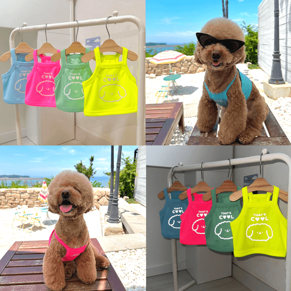 犬服 猫服 犬用クールTシャツ