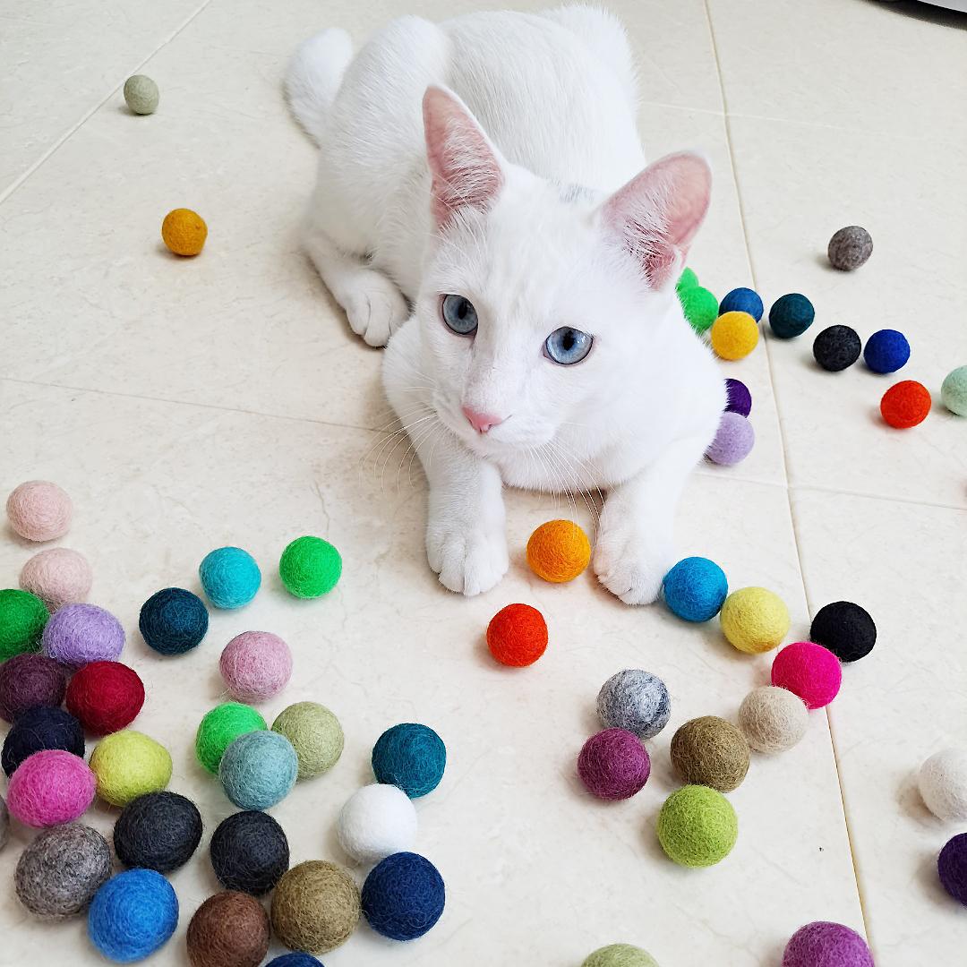  반려나라 (Banryo Nara) 手作り ウールボール 猫用おもちゃ 天然 ウールボール ウール 2～2.5cm