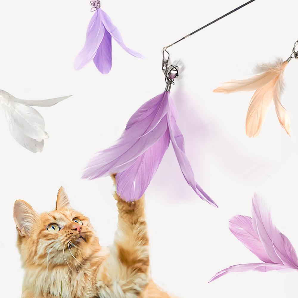 Kitni 猫用 リフィルおもちゃ 釣り竿 パステル 回転フェザー