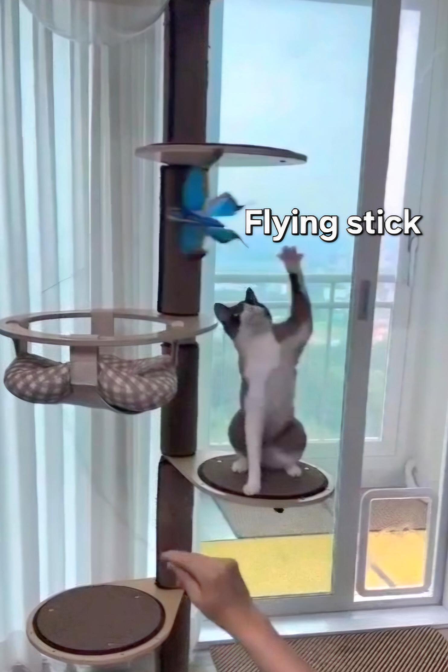 플라잉스틱 猫の狩猟本能を刺激する ツバメ、ハト、インコ、カササギ、チョウ、凧 おもちゃ 釣り竿