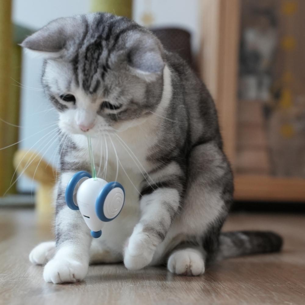 냥템점 猫 自動おもちゃ ねずみ 遊び ウィキッドマウス