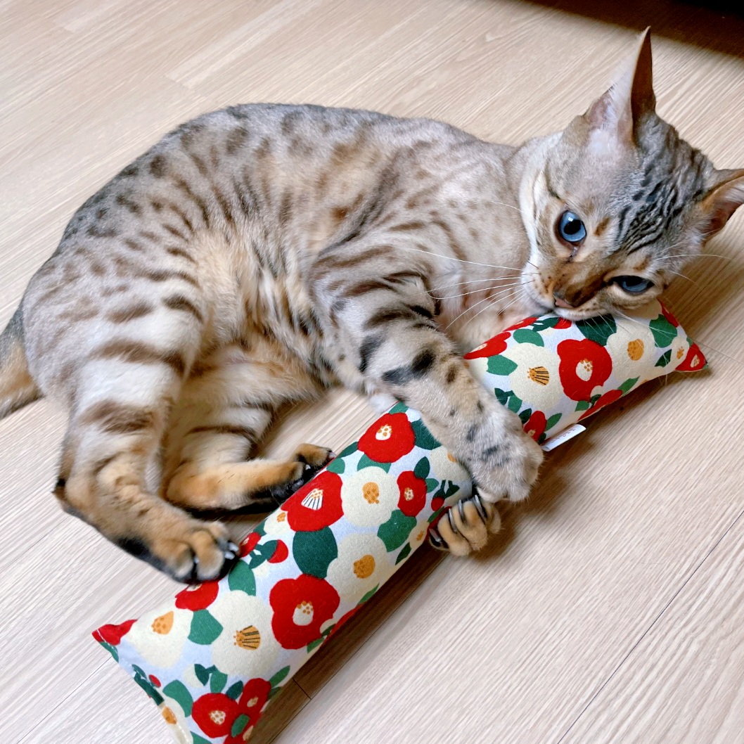 동백왕캣닢쿠션 GRDD 猫用じゃらし