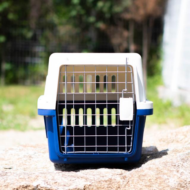 Grand Pet ケネル 犬用ケネル 猫用キャリーバッグ 愛犬 ケージ 150