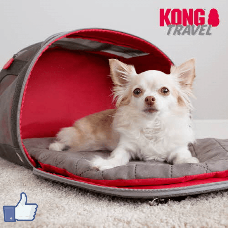 CONG TRAVEL 2-IN-1 ペット キャリア トラベルマット