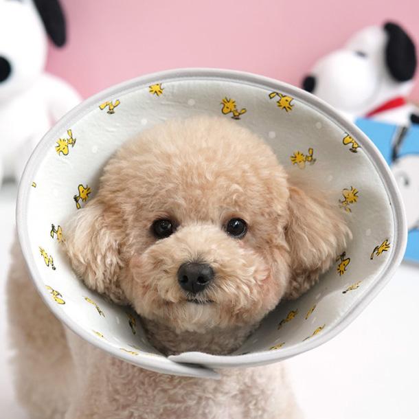 子犬・猫用 ネックカラー チュ-ブ 首保護 術後服 クッション 中型犬用 エリザベスカラー グレイ(Gray) M