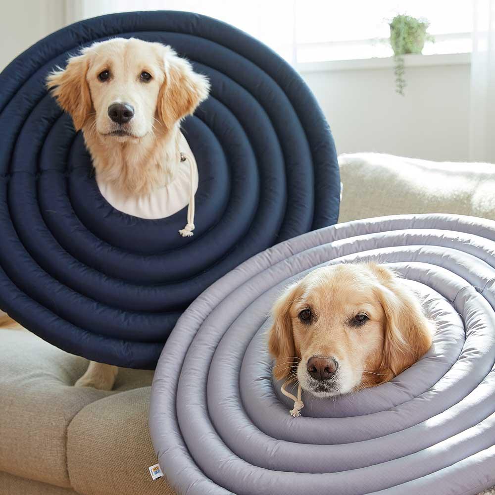 Season2 子犬用 ネックカラー 愛犬・猫用 チュ-ブ クッション 小型犬・大型犬用 4XL