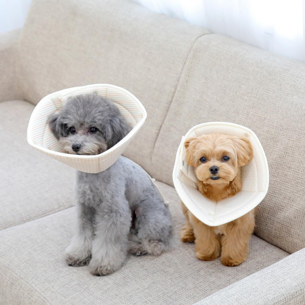 [ケノルジャ(개놀자)] オーガニック ペンタゴンエリザベスカラー 子犬・猫用 首クッション 術後服 ドット S