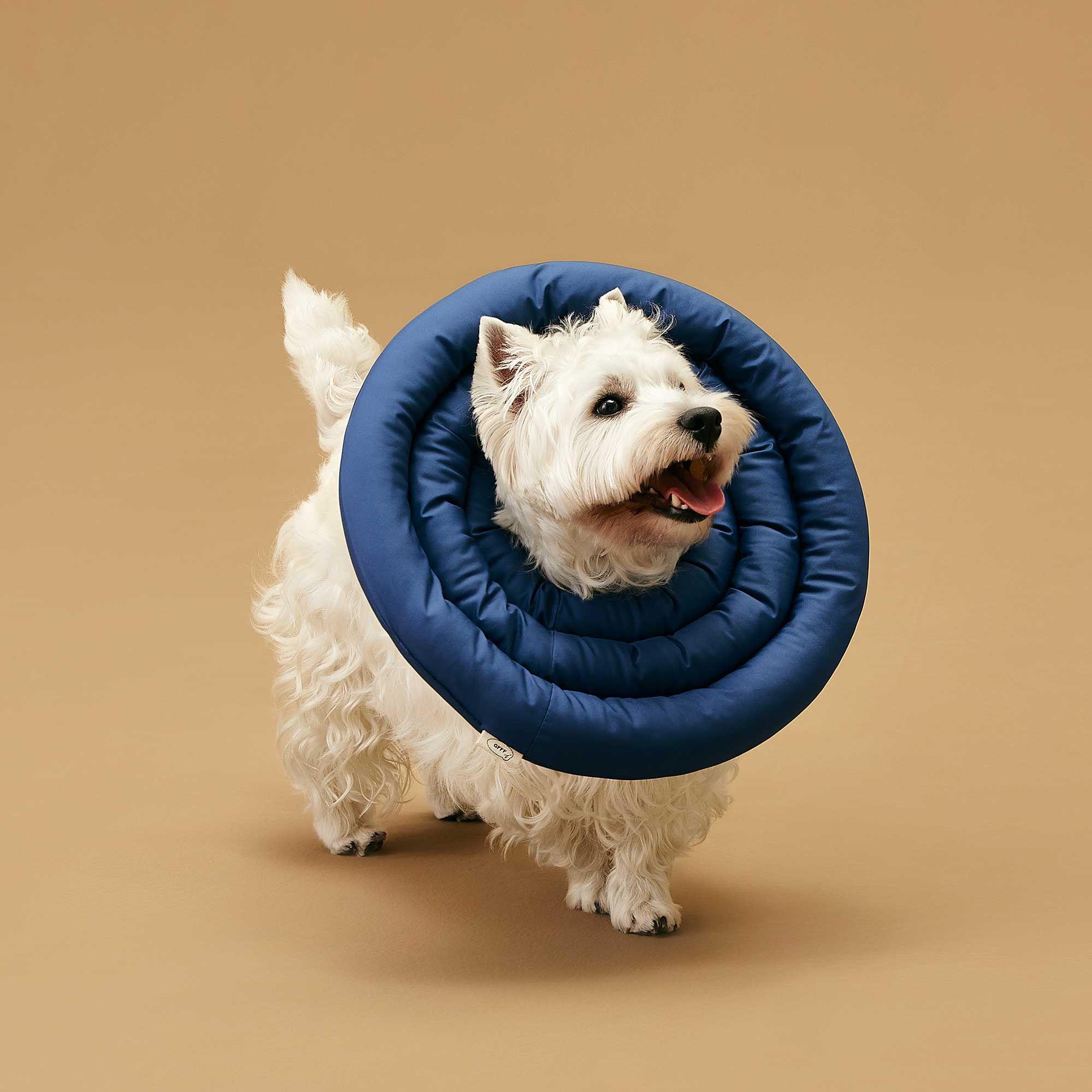 Arrr UFO ネックカラー v2 ネイビー/グレー S-L