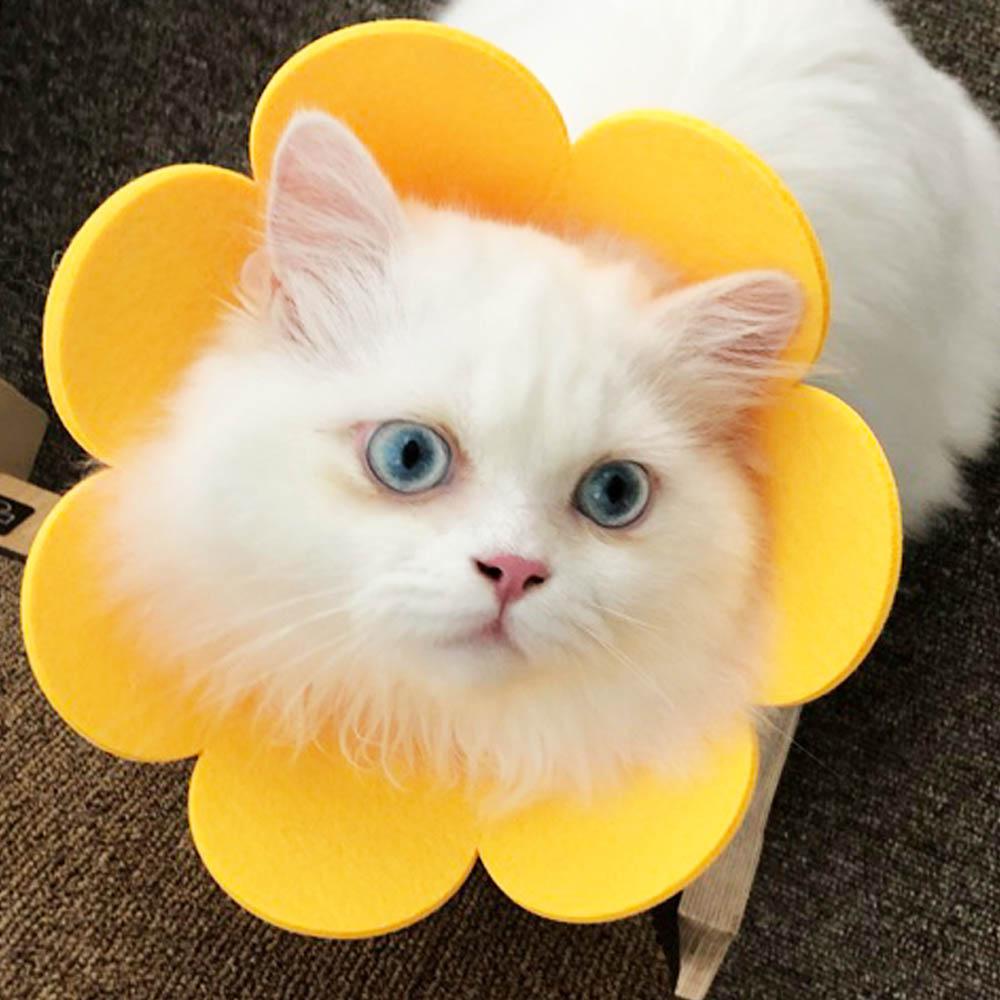 子猫・子犬 中性化 超軽量 布製ネックカラー（漏斗型） XXS