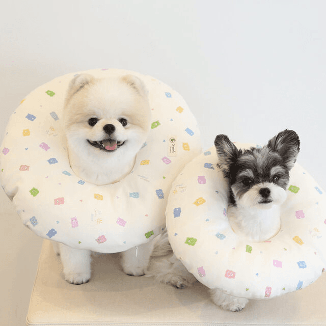 LITO GATO オーガニック クッション ネックカラー カバー分離型 犬 猫 漏斗型 首保護具 プードルS ジェラミペット