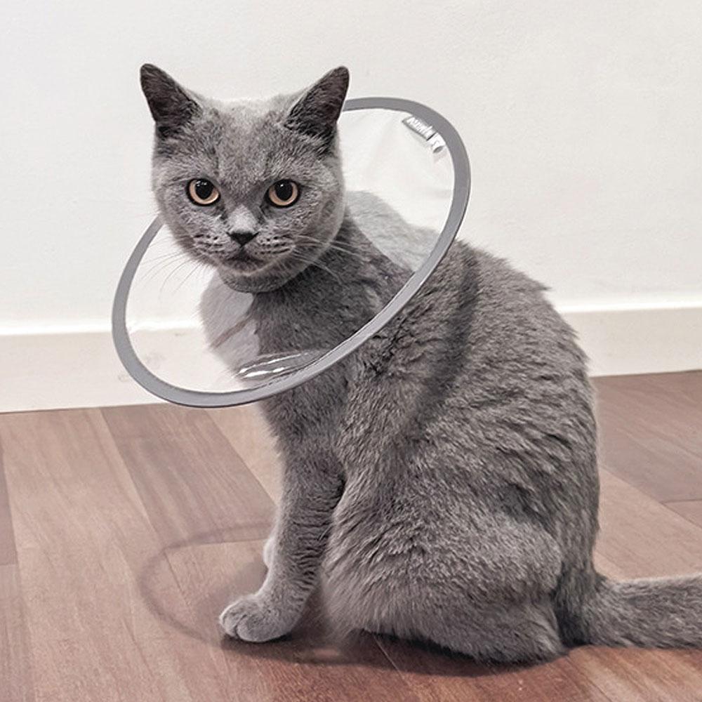 Crayons Pet 犬 猫 ネックカラー UFO 超軽量 夏