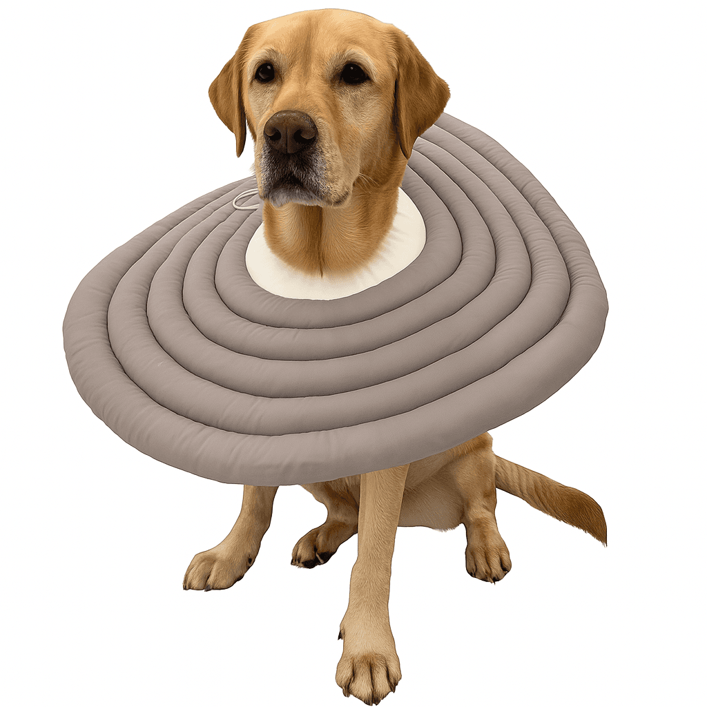 MAAH 犬用ネックカラー 大型犬 中型犬 軽量 中性化手術 保護用 ネッククッション