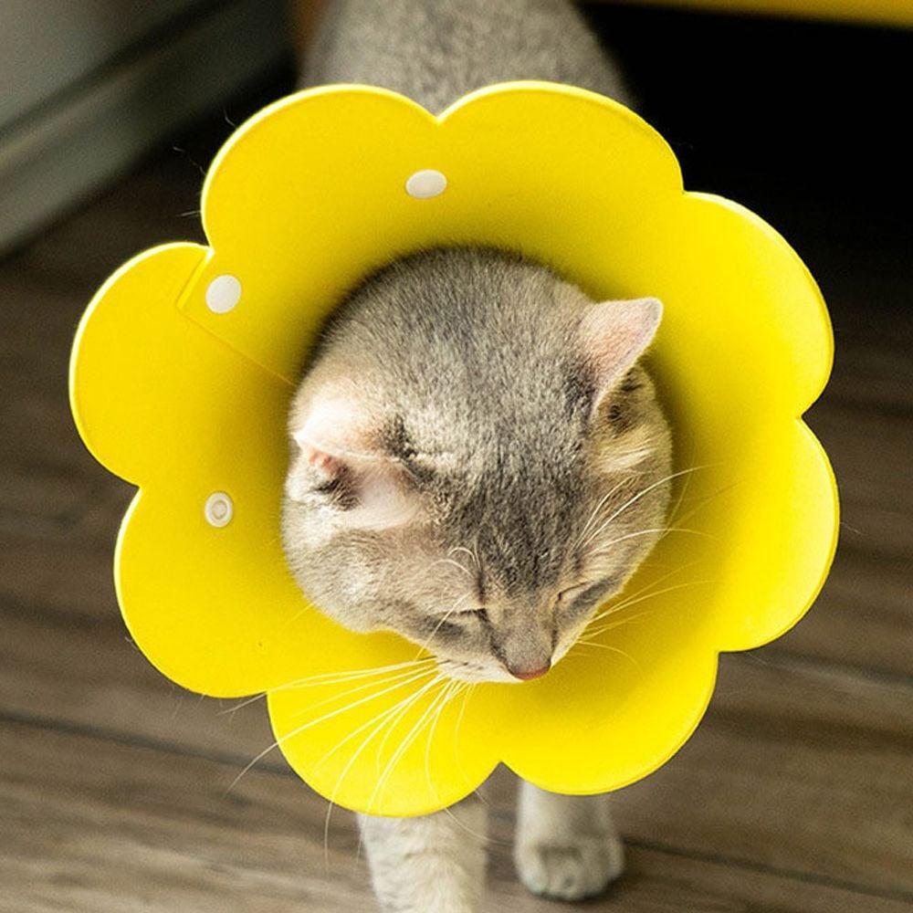 花柄 犬 猫 柔らかいネックカラー 色ランダム S