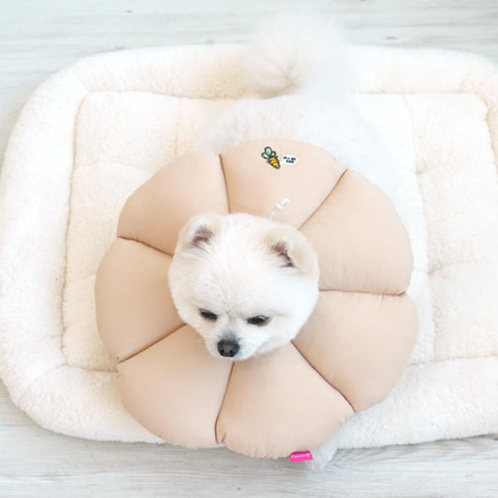 패리스독 中性化手術 保護ネックカラー