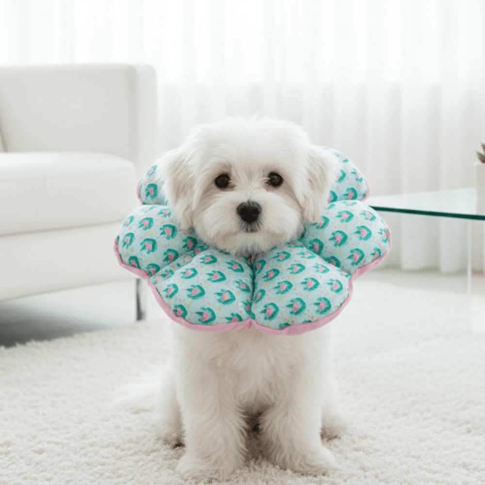 Rich Dogs 犬用ネックカラー 猫用ネックカラー 傷保護 XS 漏斗型 大型犬 スカイピンク