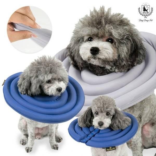 DINGDONGPET ペット 超軽量 ネックカラー