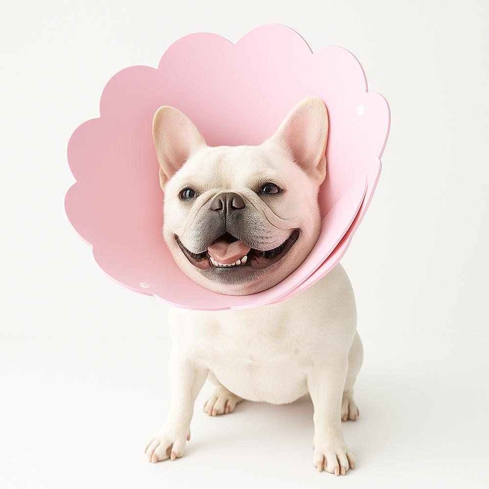 オレンジワン 犬 猫 軽量 柔らかいネックカラー EVA製 首保護具 ピンク XS