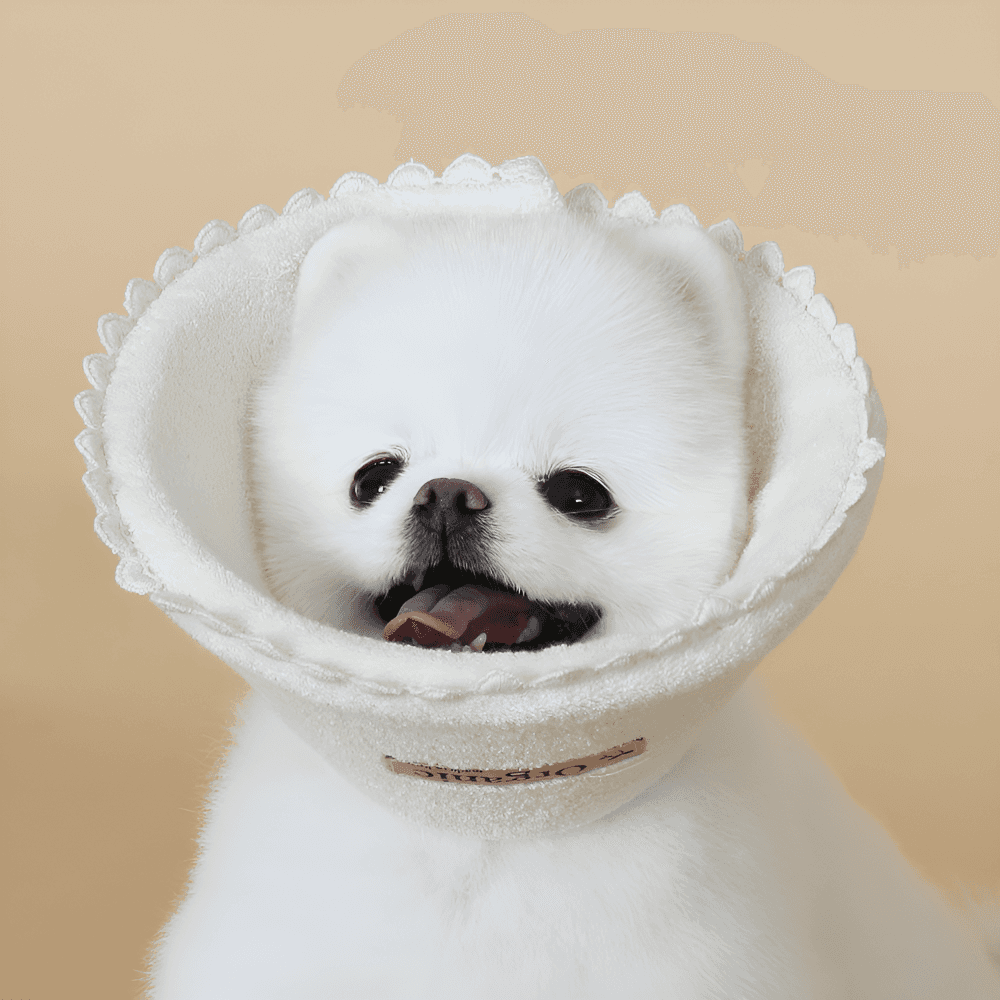 オーガニック 介護カラーS