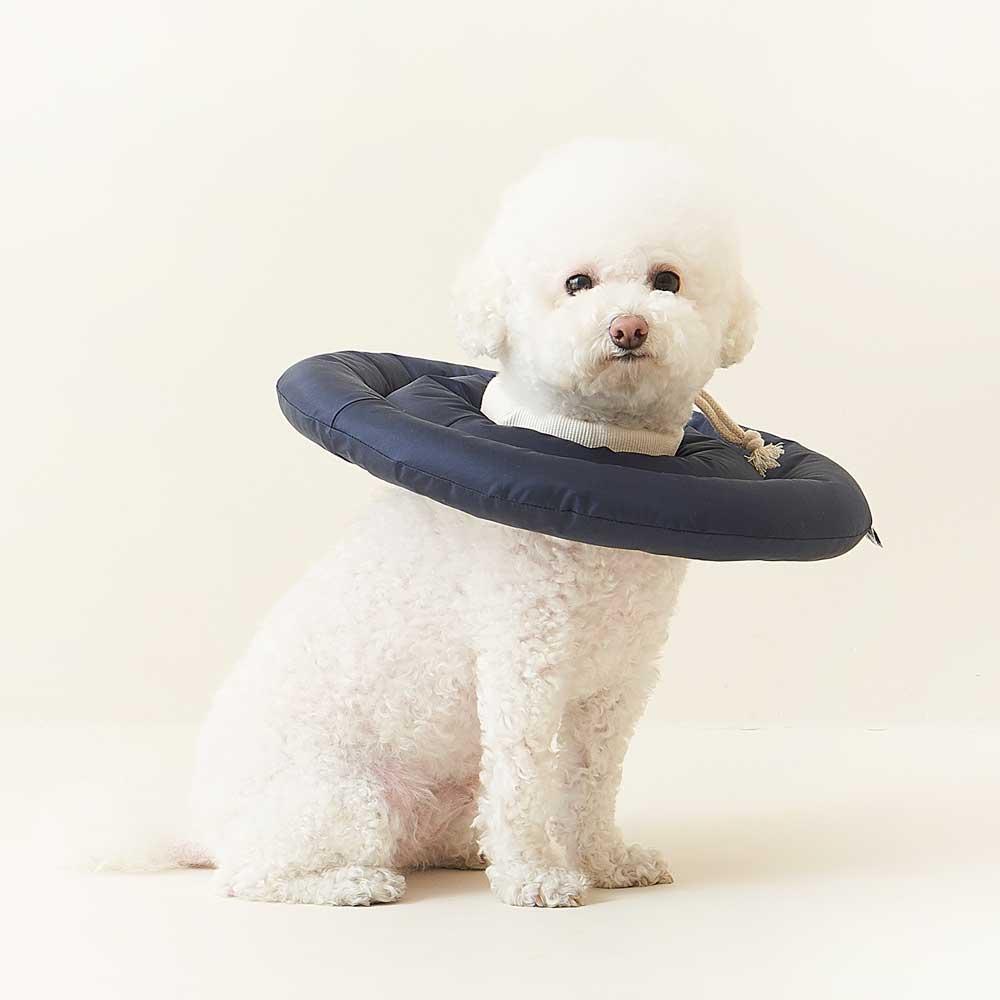 B級 犬介護カラー 猫 漏斗 首保護具 シーズン2 B級 XS