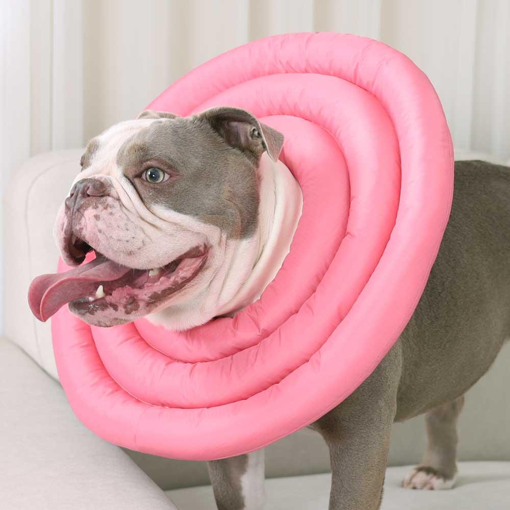 特殊体型 犬 介護カラー ペット 首保護具 2XL