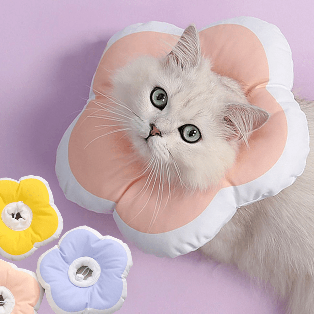 リッチドッグス 犬 エリザベスカラー 猫 ペット 漏斗