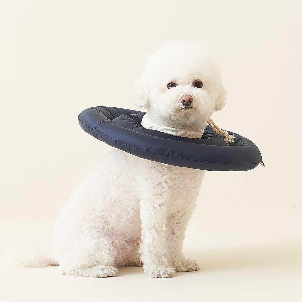 두유레디 (Do You Ready) 犬用 ネックカラー 犬猫 用途 保護襟 シーズン1 S