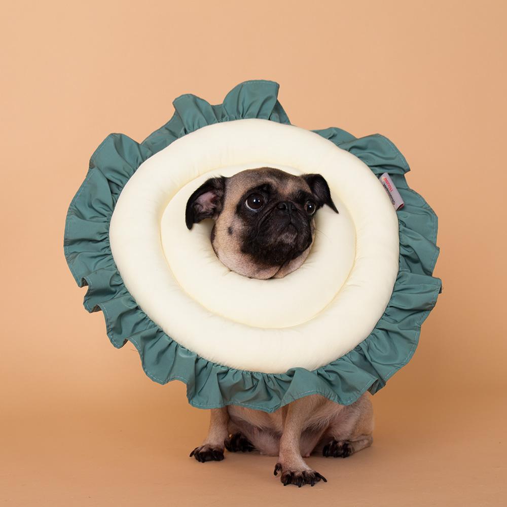 CHOCO PET HOUSE ひまわり 子犬用 ネッカーラ