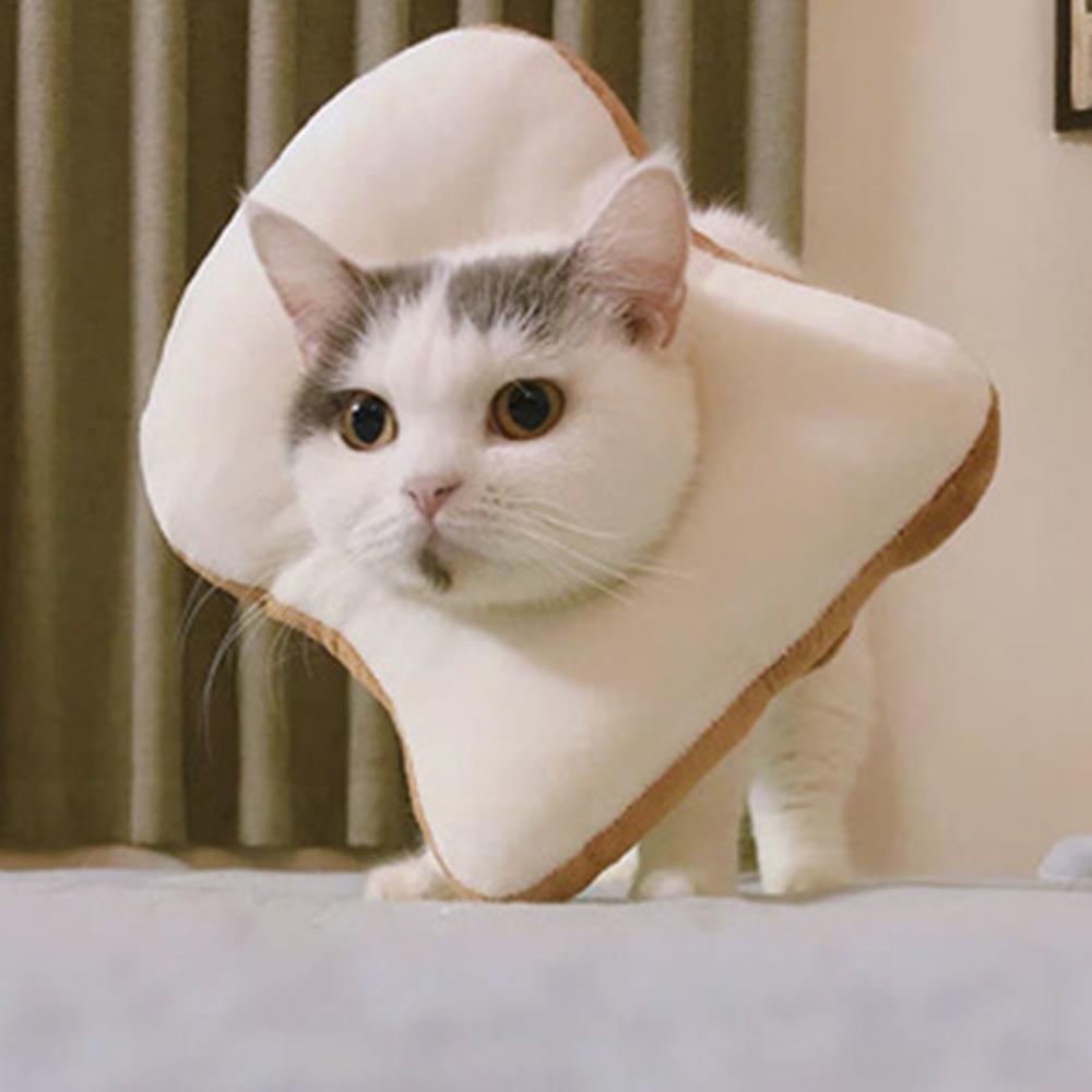 PETBOSS DIGIPET 子犬 猫 ペット用 クッションネッカーラ 去勢用 ネッククッション 漏斗型 首保護具 いちご M 1個