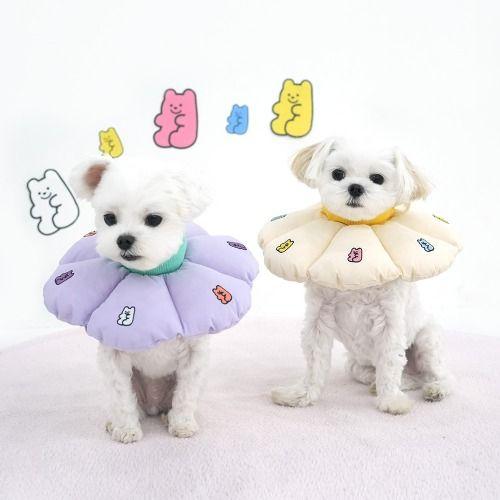 패리스독 Jelly Bear 꿀잠 クッション エリザベスカラー 首保護具 ネッククッション 1個