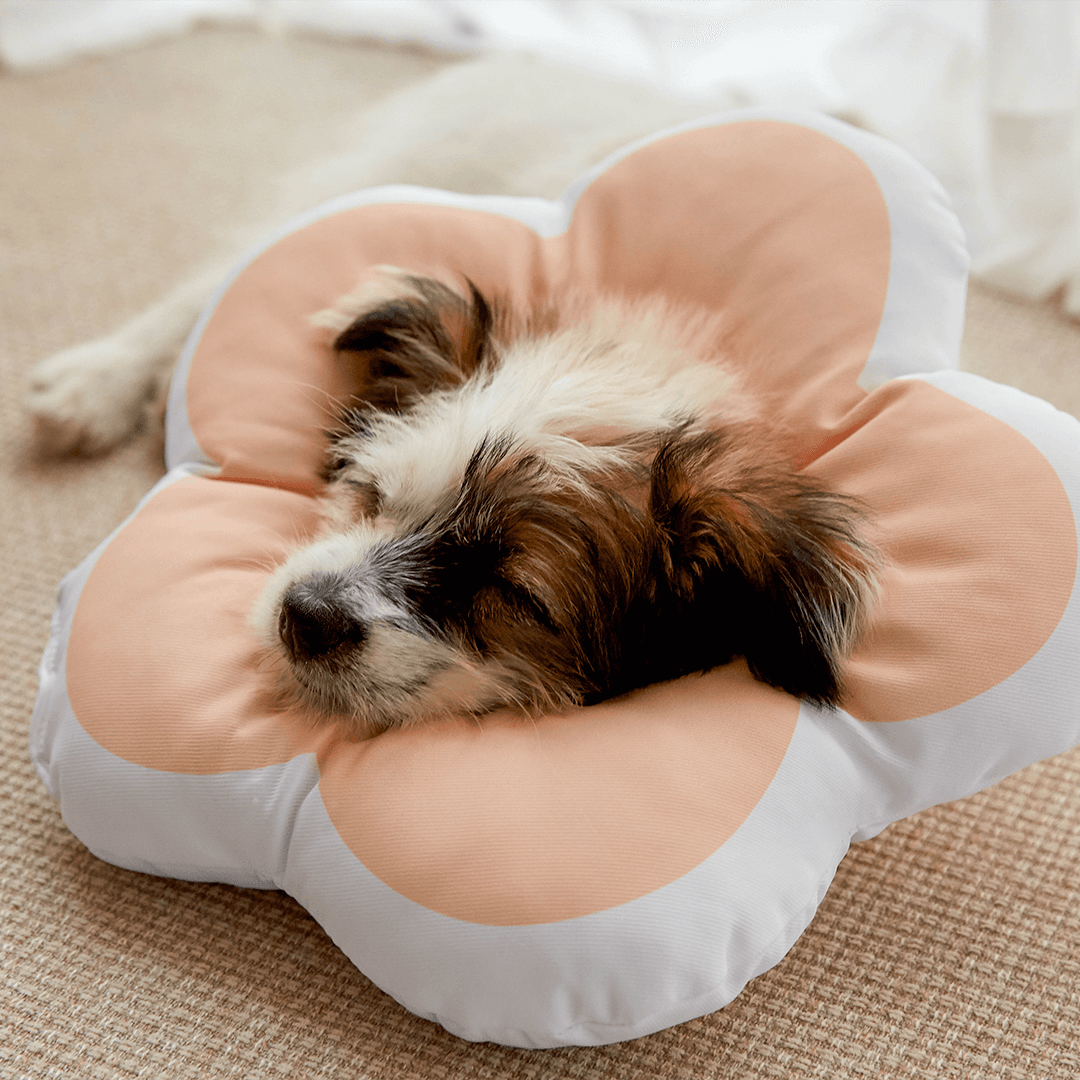 PET HOLIC フラワーネッカーラ イエロー/ブルー/ピーチ S-L