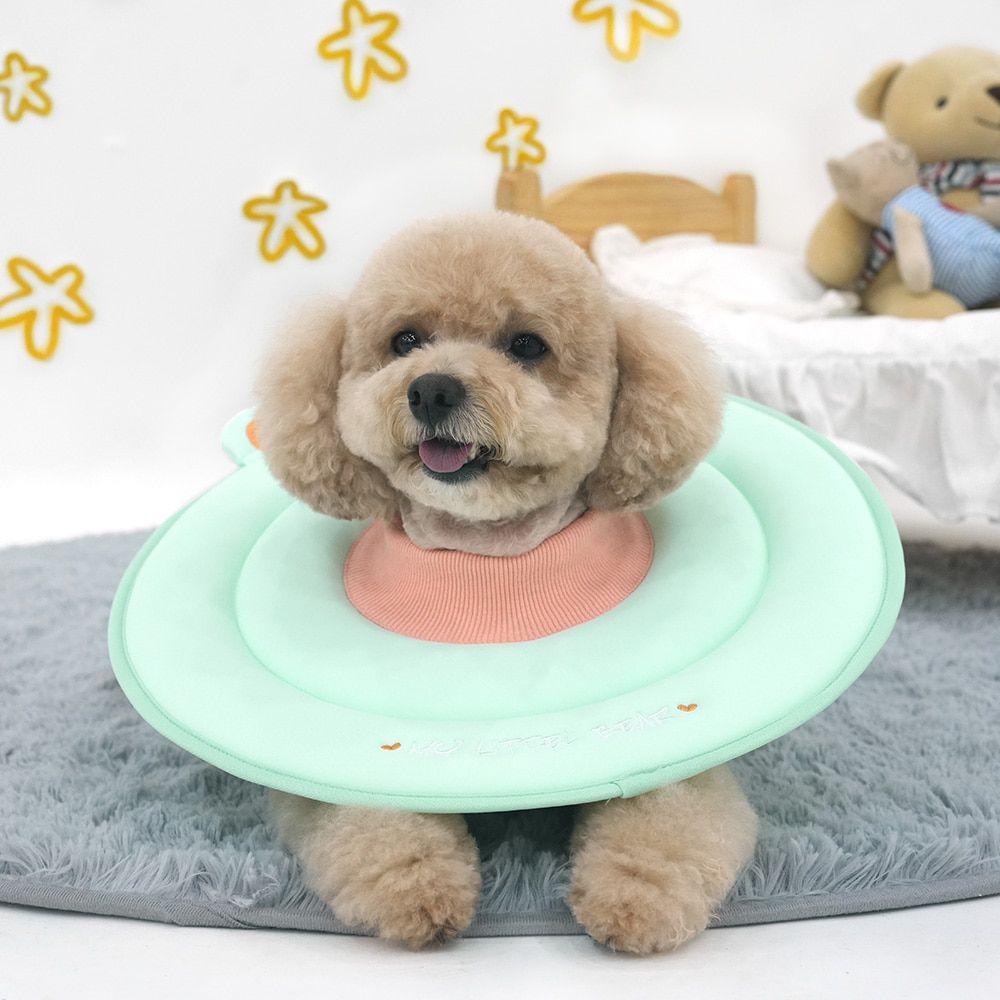 ParisDog ベアスポンジ 犬 猫 介護カラー ミント L