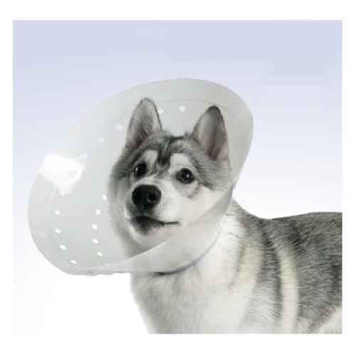 大型犬用 介護カラー 犬用 プラスチック 動物病院 丈調節可能 介護カラー クッション XL（20cm）