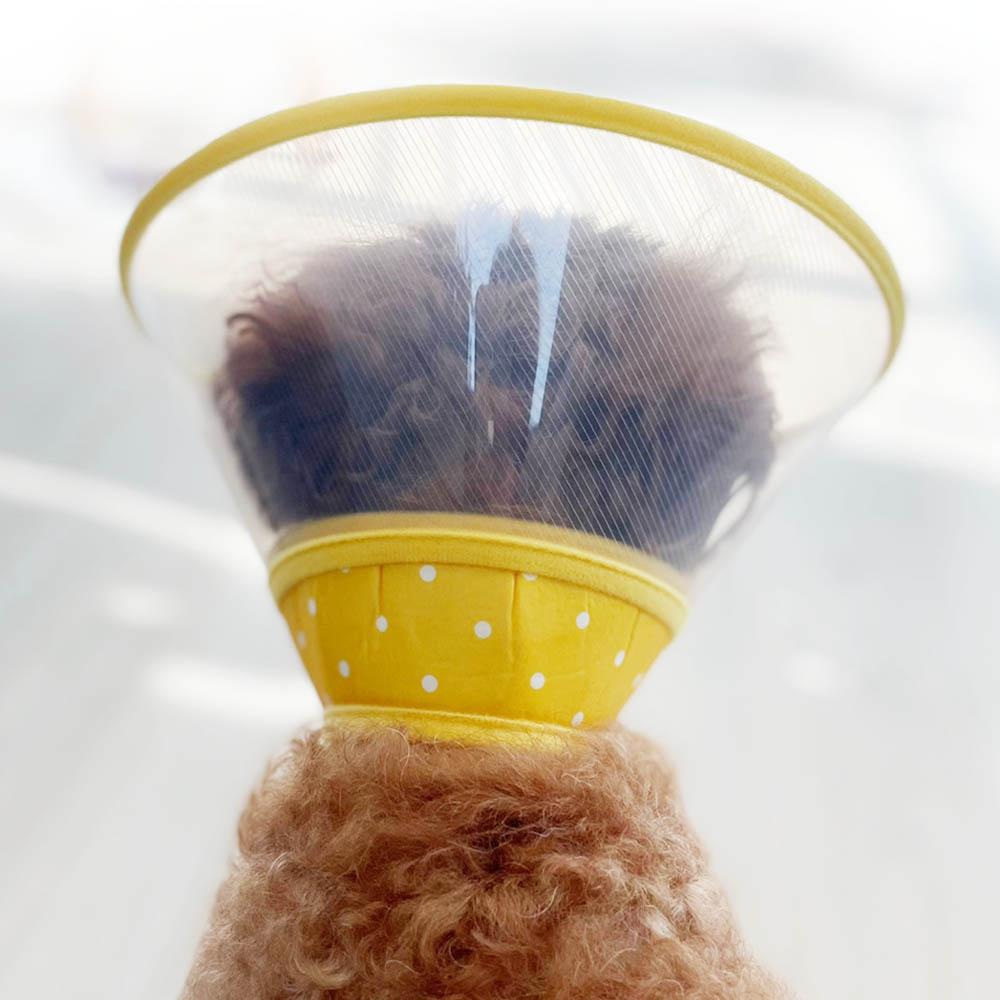 犬 猫用 去勢手術 プラスチック 布 軽量 介護カラー 小型犬 中型犬 エリザベスカラー S イエロー水玉