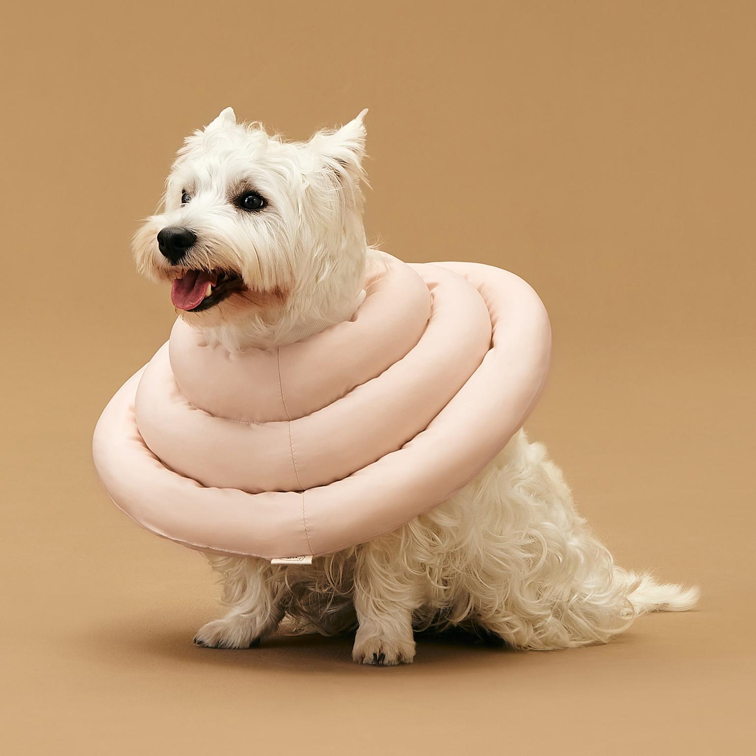 Dongwon Arre UFO 介護カラー